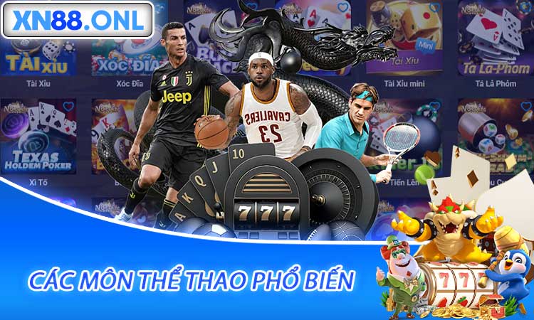 Các môn thể thao phổ biến tại Thể Thao XN88
