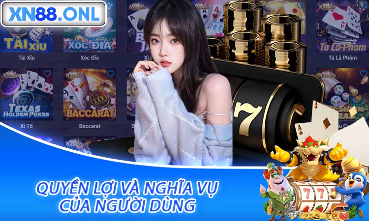 Quyền lợi và nghĩa vụ của người dùng
